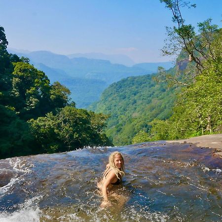 Chalet In The Jungle Pallegama Ngoại thất bức ảnh
