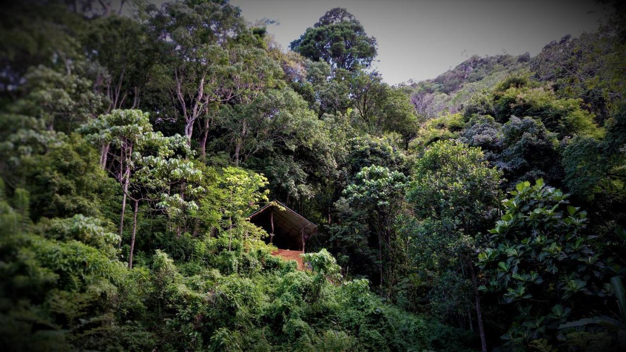 Chalet In The Jungle Pallegama Ngoại thất bức ảnh