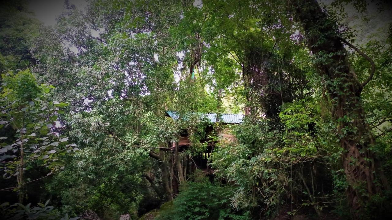 Chalet In The Jungle Pallegama Ngoại thất bức ảnh