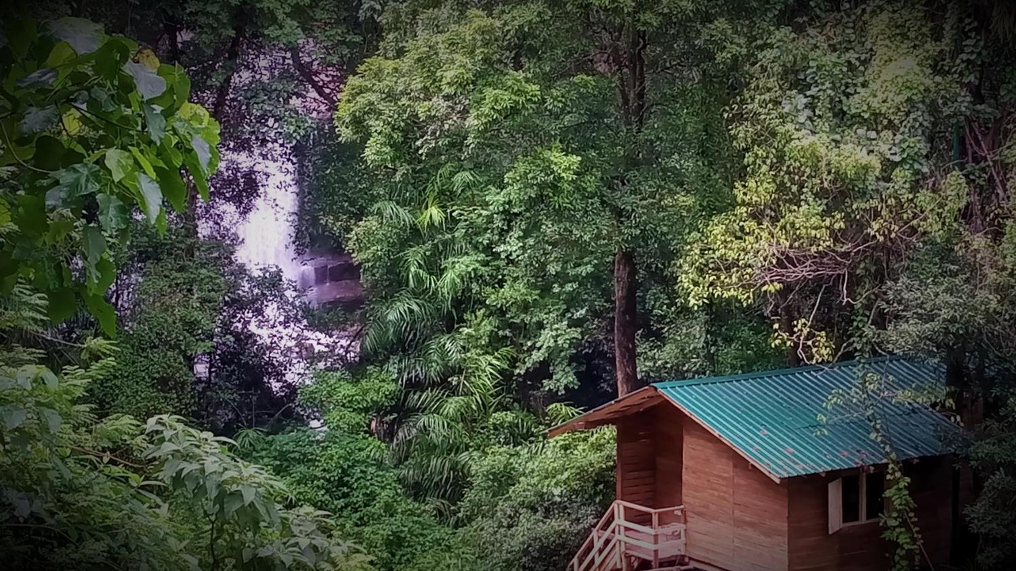 Chalet In The Jungle Pallegama Ngoại thất bức ảnh