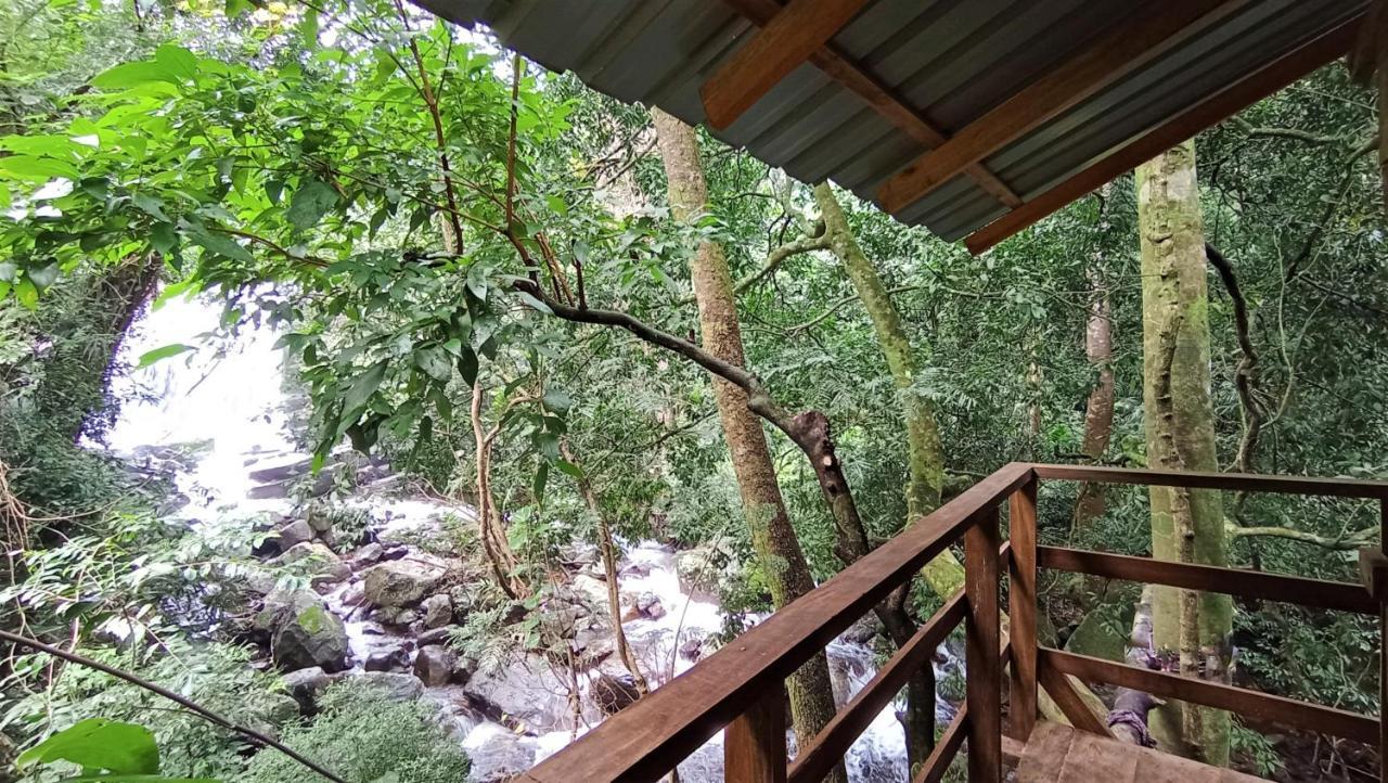 Chalet In The Jungle Pallegama Ngoại thất bức ảnh