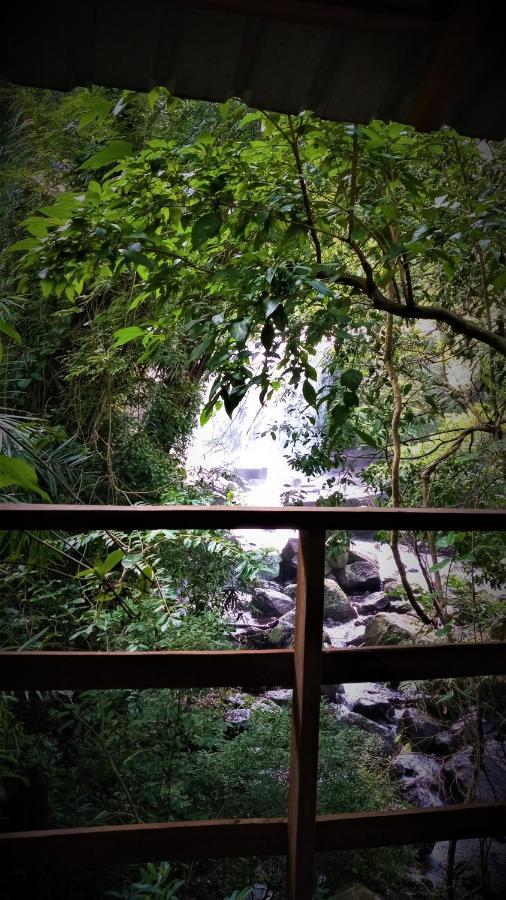 Chalet In The Jungle Pallegama Ngoại thất bức ảnh
