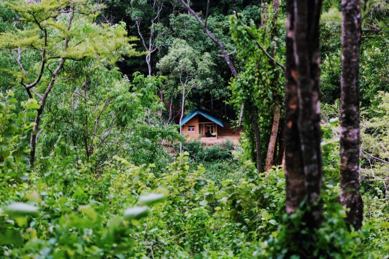 Chalet In The Jungle Pallegama Ngoại thất bức ảnh