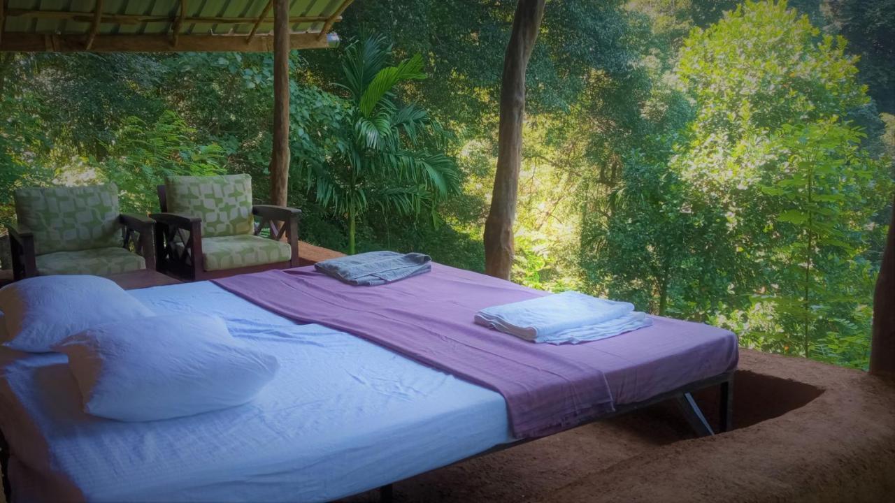 Chalet In The Jungle Pallegama Ngoại thất bức ảnh