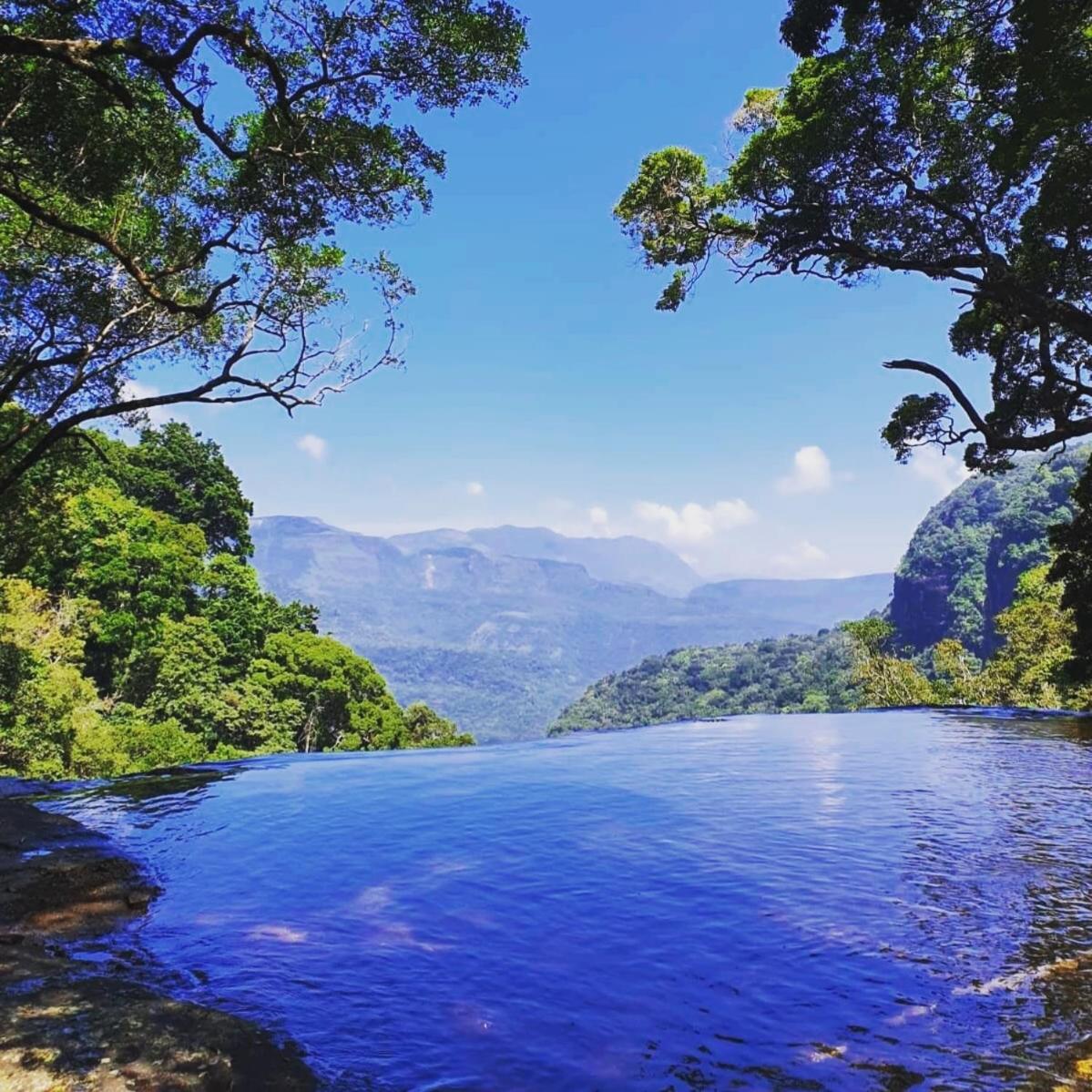 Chalet In The Jungle Pallegama Ngoại thất bức ảnh