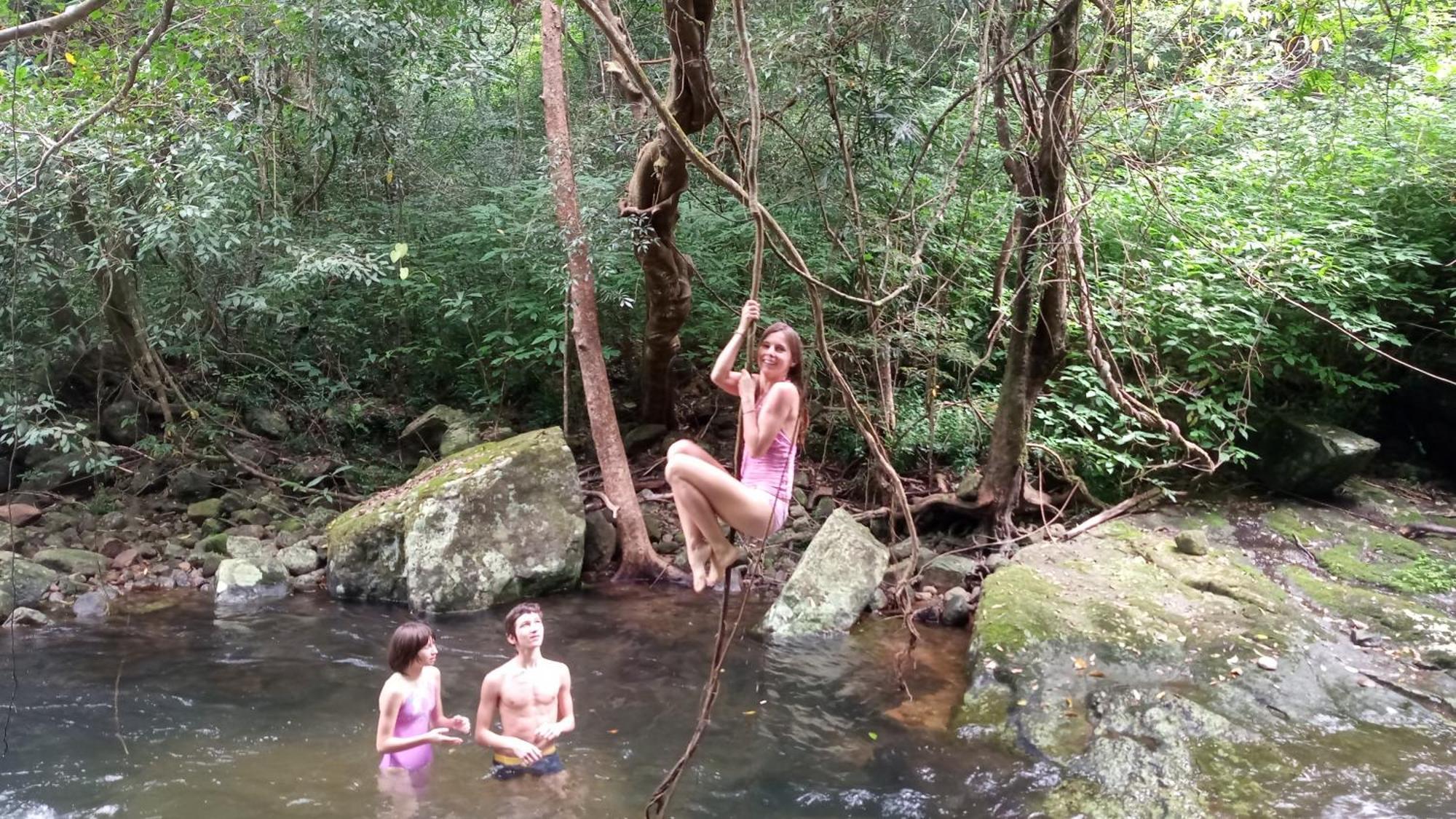 Chalet In The Jungle Pallegama Ngoại thất bức ảnh